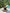 Person sitting on a yoga mat by a pool with lush greenery in the background