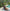 Woman in black outfit sitting on a yoga mat by a pool with greenery around
